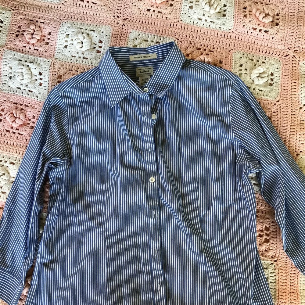 LL Bean Strip Shirt
